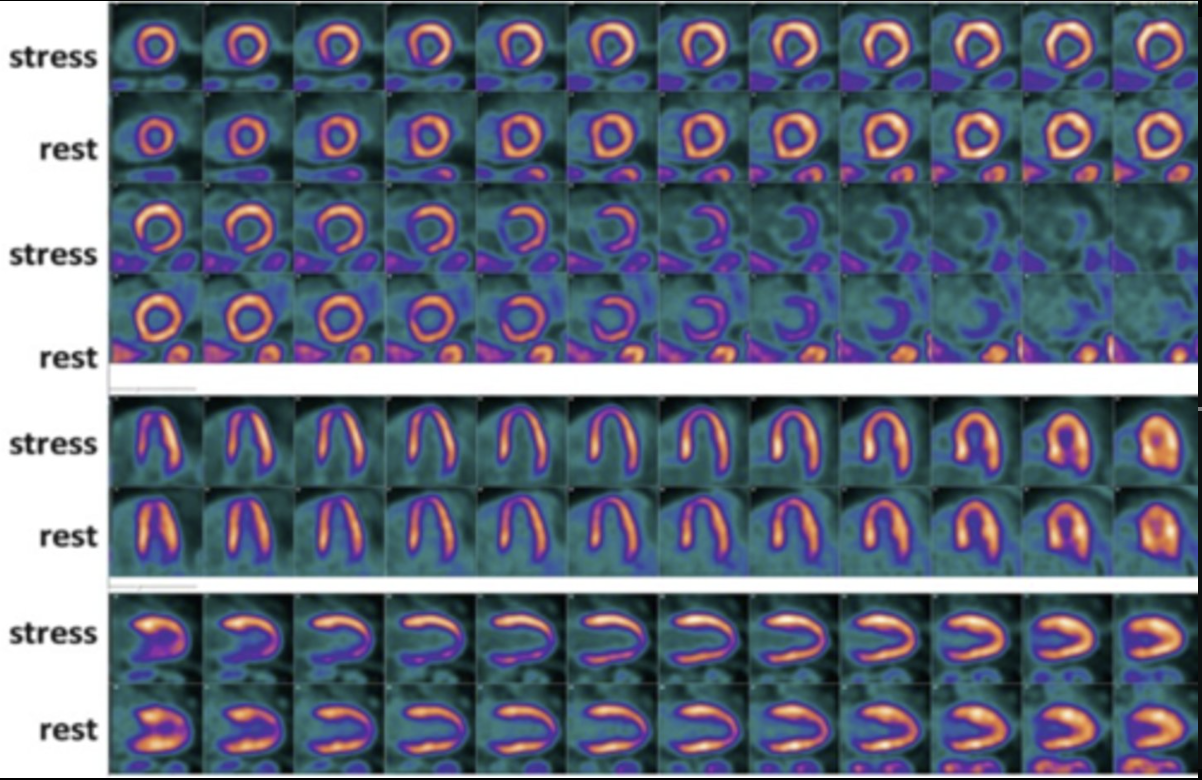 <p>The image below best demonstrates</p>