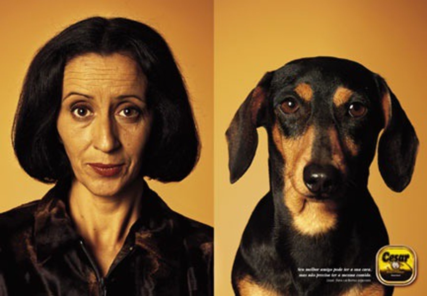 <p>to look like, seem like</p>