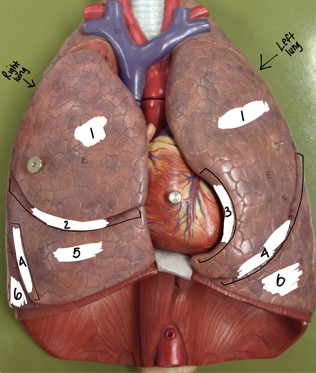 <p>1</p>