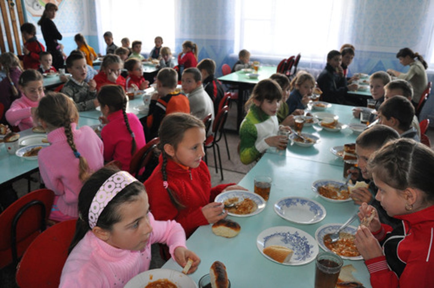 <p>comemos en ...</p>