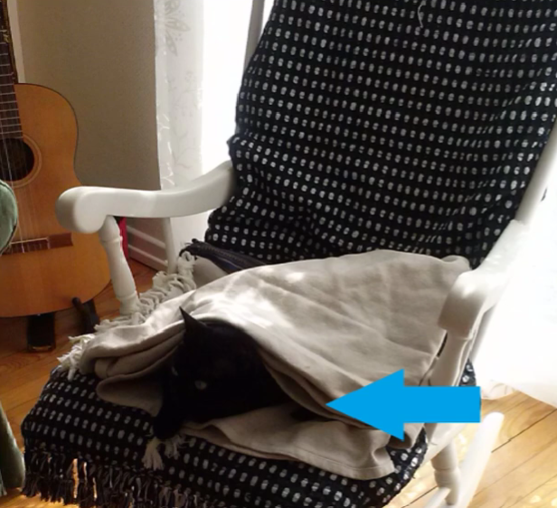 <p>Was macht die schwarze Katze?</p>