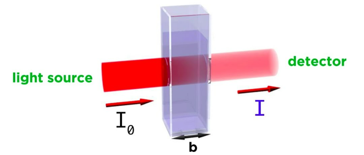 The absorbance [of light waves] of a chemical is defined by the equation A = εbC (where A is absorbance often within the interval 0 < A < 1, ε is the molar absortivity constant, b is the path length of the curette in cm [if not indicated, it is assumed to be 1cm], and C is the concentration of the chemical in M or m/L). Experimentally, this can be demonstrated by placing a substance in a curette and targeting a specific frequency of light at it to measure its absorbance factor.