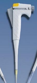 <p>Micropipette</p>