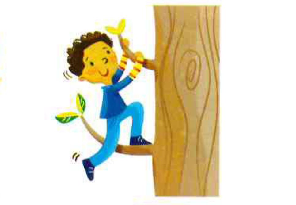 <p>climb a tree</p>