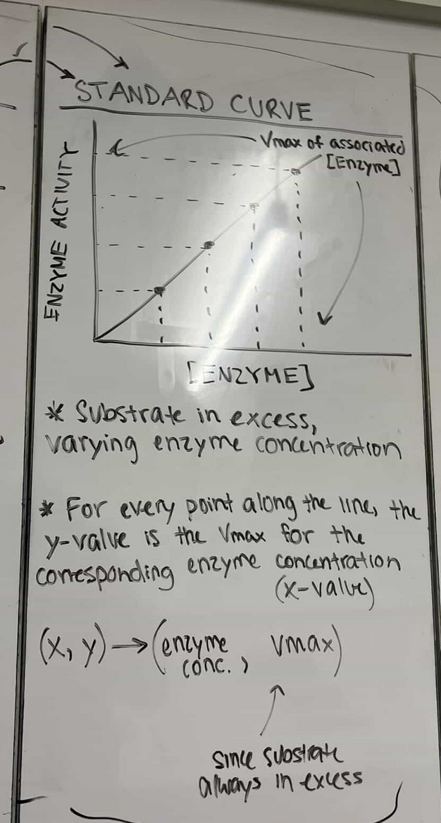 <p>STANDARD CURVE GRAPH</p>