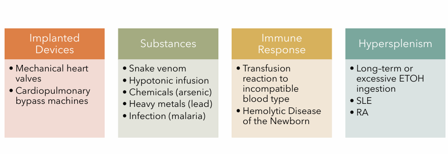 <p>Malaria infection</p><p>Transfusion reactions</p><p>Hypersplenism (SLE, RA)</p><p>Mechanical Heart Valves</p><p>Cardiopulmonary bypass machines</p>