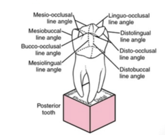 knowt flashcard image