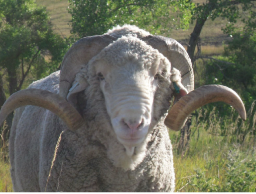 <img src="blob:null/dfd65bce-f086-4ddc-8239-5bed3f28fa43"><p></p>