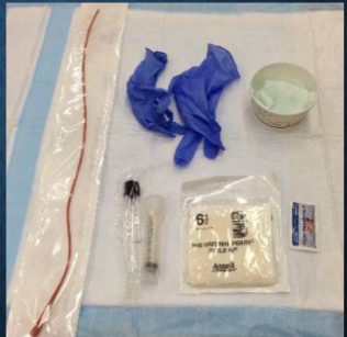 <ul><li><p>Chlorhexidine solution</p></li><li><p>Sterile catheter, gloves, and lube</p></li><li><p>Collection device</p><ul><li><p>Syringe or collection bag</p></li></ul></li><li><p>Culture tube</p></li><li><p>Assistance</p></li><li><p>± vaginal speculum</p></li><li><p>± sedation</p></li><li><p>E-Collar!!</p></li></ul><p></p>