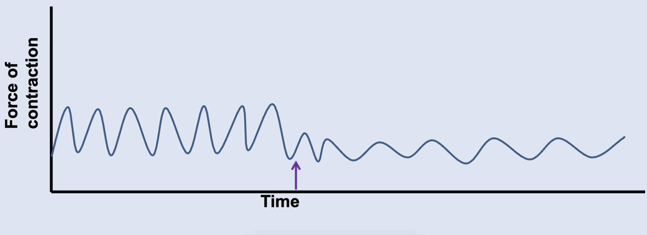 <p>___ opens K+ channels and hyperpolarizes the membrane; inhibits smooth muscle contraction.</p>
