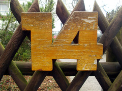 <p>14</p>