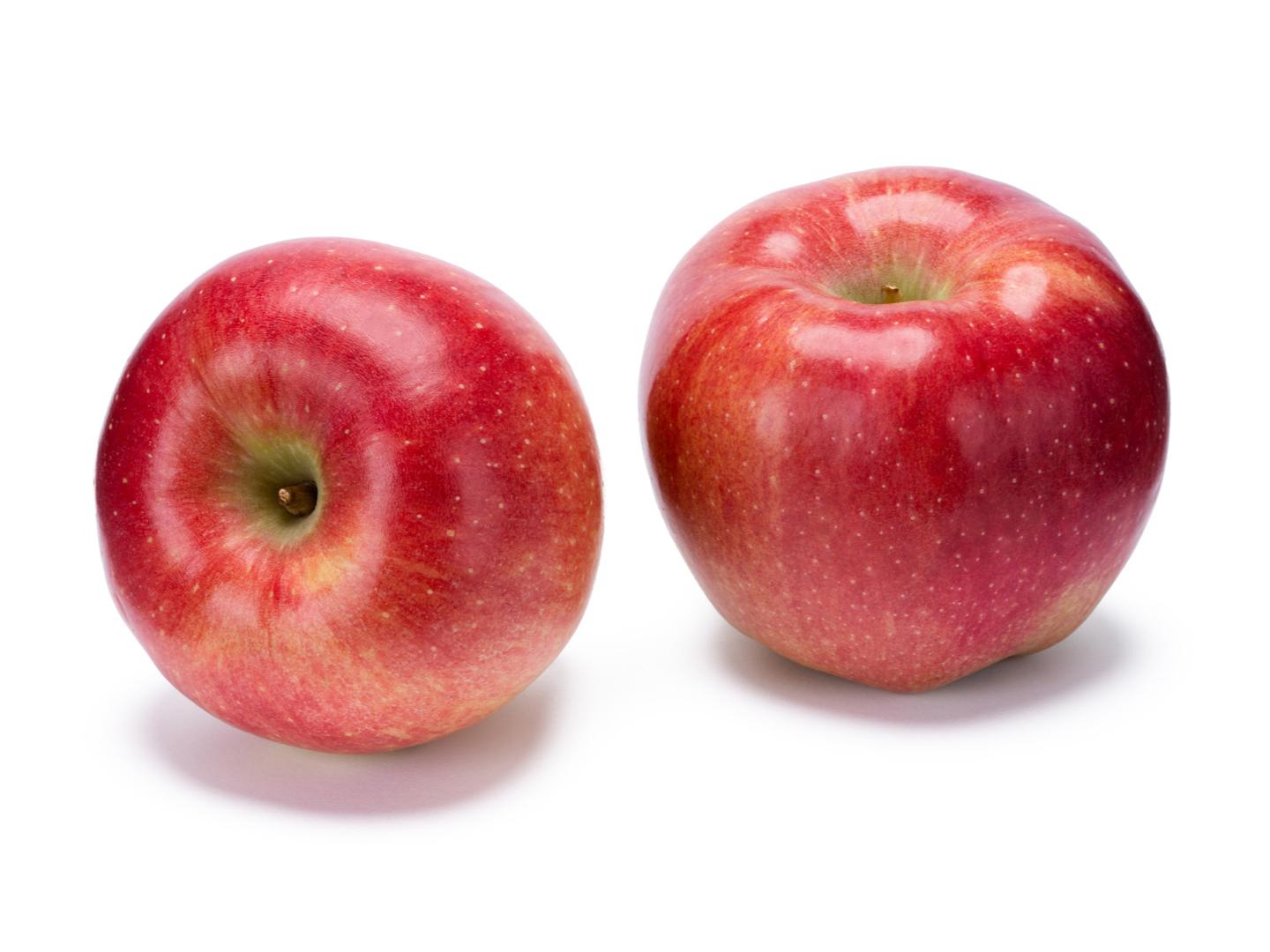 <p>nutrient</p>