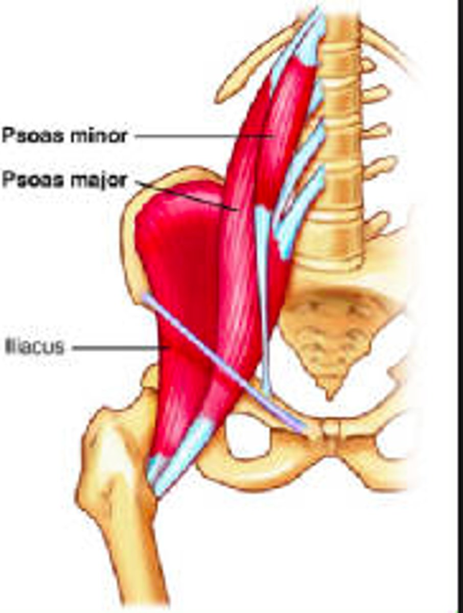 <p>What is this and what is it for?</p>