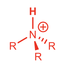 <p>Protonated Amine [NR3H+] Ammonium Ion</p>