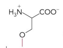 <p>Name this glycerophospholipid</p>