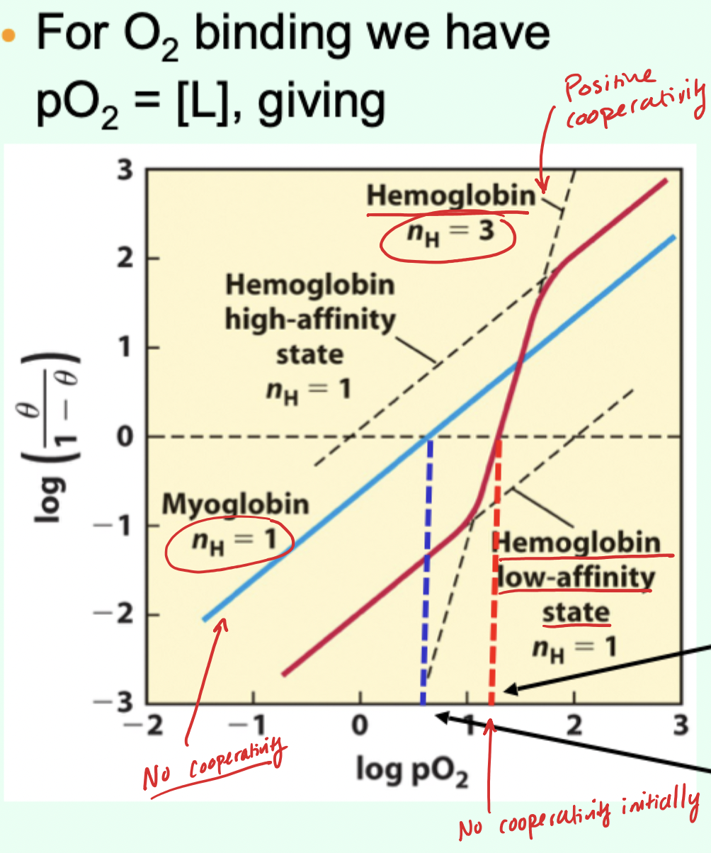 <p>When the left side of the O2 Hill plot equation equals 0, what is pO2?</p>