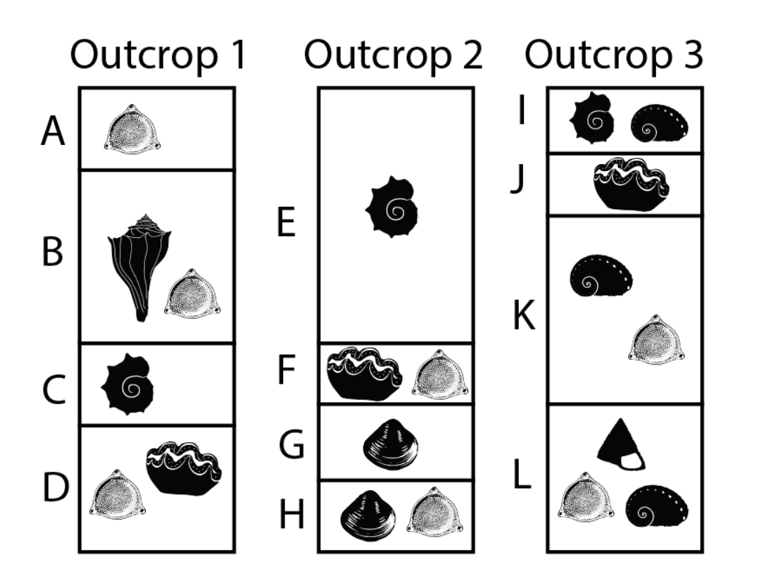 <p>Stratum D in Outcrop 1 is the same age as:</p><p>a. Stratum K in Outcrop 3</p><p>b. Stratum J in Outcrop 3</p><p>c. Stratum E in Outcrop 2</p><p>d. None of these</p>
