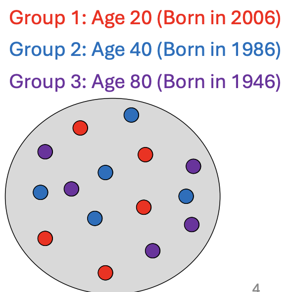 <ul><li><p>Observe individuals of different ages at the same time (i.e. 2026)</p></li><li><p>Concerns of<strong> cohort effects </strong>(is it age or cohort)</p><ul><li><p>80yo person born in 1946 might have issues w/email</p></li><li><p>80yo person born in 1986 (same age, different generation) would have not</p></li><li><p>Issues with era (different people)</p><ul><li><p>not an age thing for not understanding computer and making emails</p></li></ul></li></ul></li></ul><p></p>
