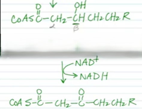 <p>Name the reaction and the FG transformation.</p>