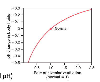 <p>At half‑normal ventilation, what happens to pH?</p>