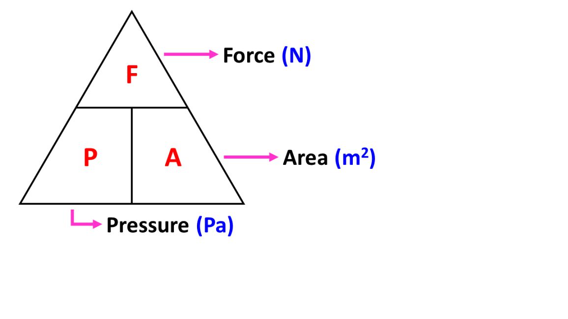 <p>Pressure = force / area</p>