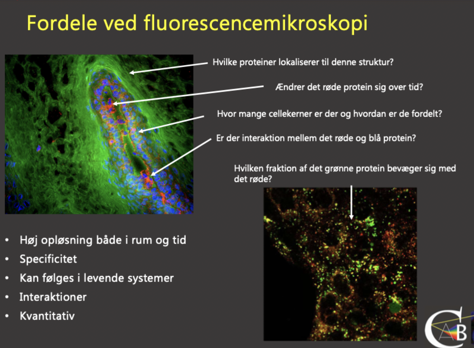 <p><span>Hvilke 3 komponenter udgør et "Filter Cube" i et fluorescensmikroskop?</span></p>