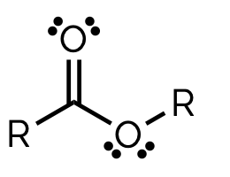 <p>name and suffix</p>