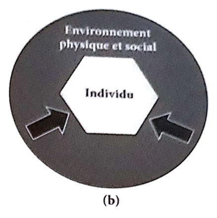 <p>Interventions <strong>centrées</strong> sur l’individu et visant à lui permettre de s’<strong>adapter</strong> au mieux à son environnement</p>