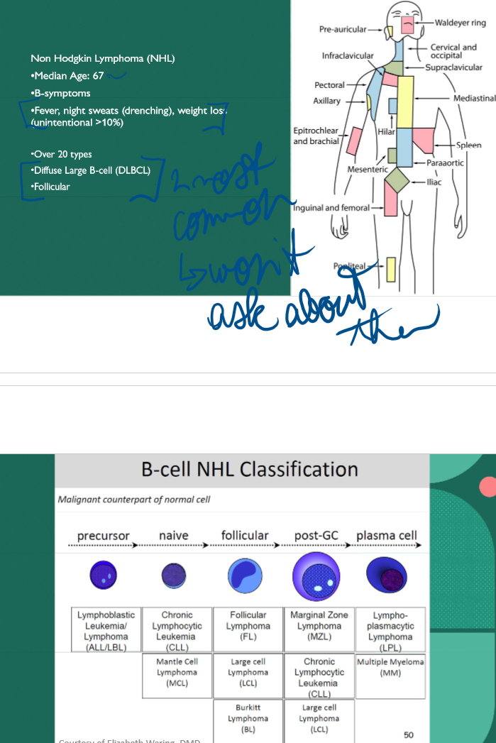 <p>Fever, night sweats, weight loss </p>