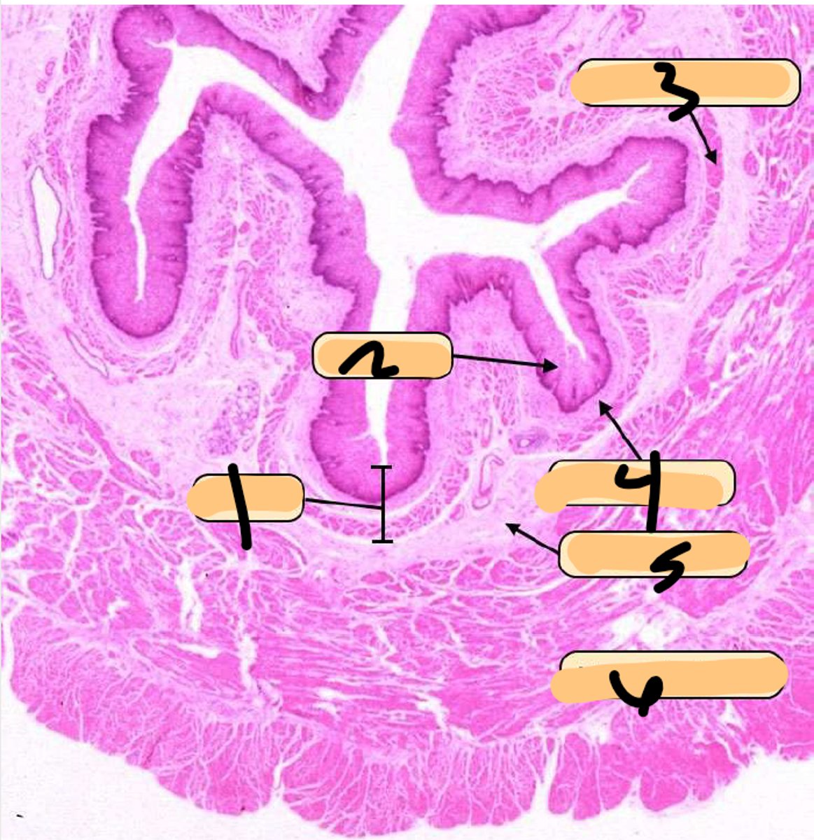 <p>2</p>