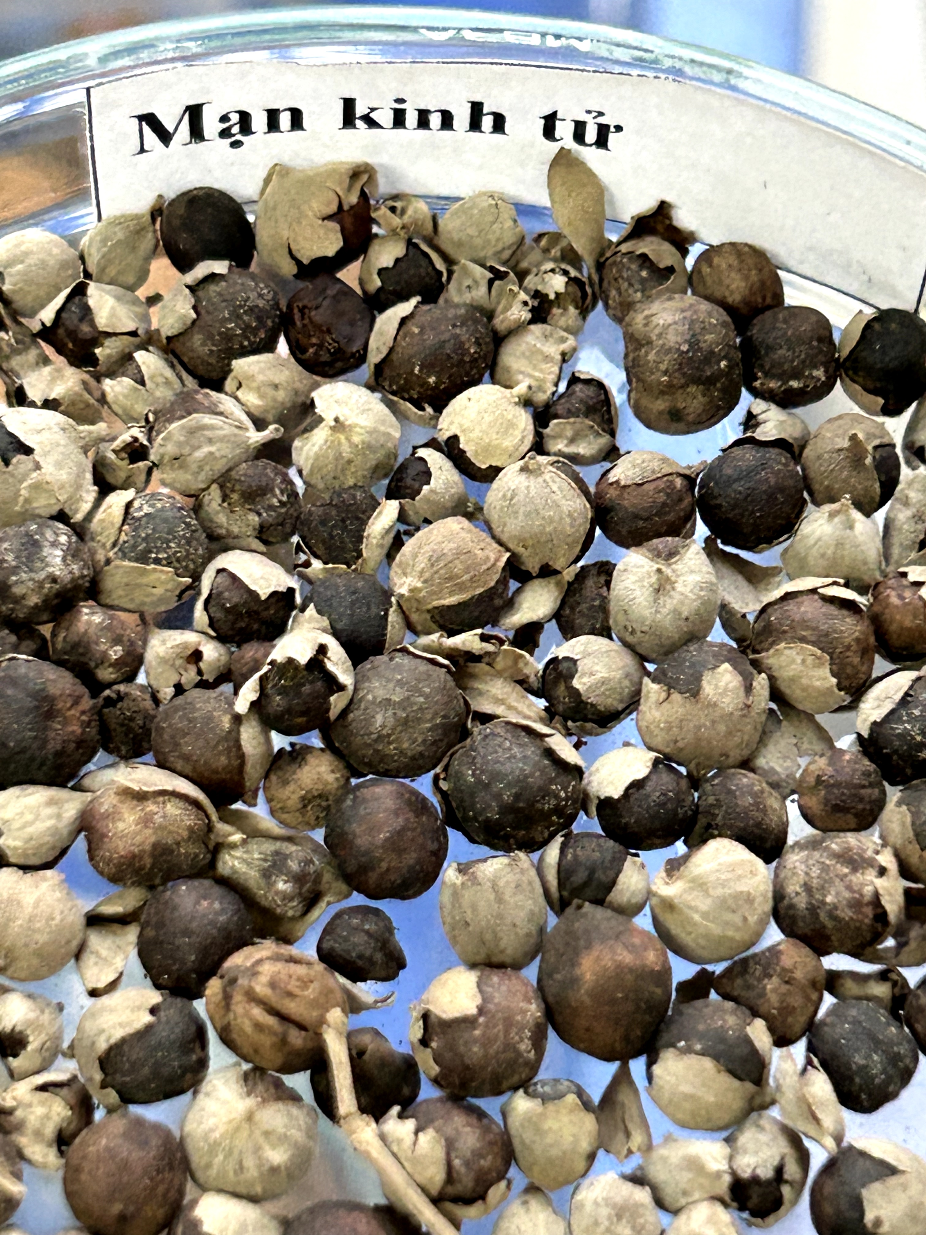 <p>mạn kinh tử</p>