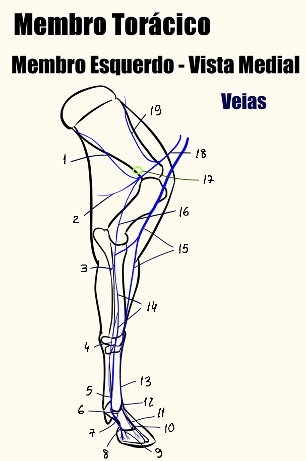 <p>15</p>