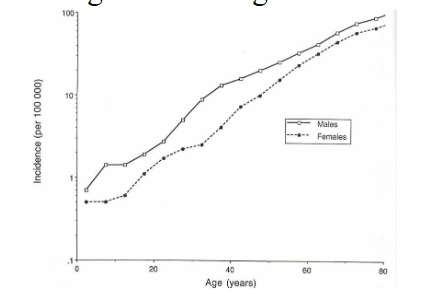<p>Immune suppression:</p><p>- Organ transplant</p><p>- AIDS</p><p>.</p><p>Viral causes:</p><p>- EBV: Burkitt lymphoma</p><p>- HTLV-I: Adult T cell leukemia / lymphoma</p><p>.</p><p>Geography:</p><p>- Burkitt: tropical Africa</p><p>- Adult T cell leukemia / lymphoma: Japan &amp; Caribbean</p><p>.</p><p>Chronic inflammation / antigenic stimulation:</p><p>- Helicobacter pylori: MALT lymphoma of stomach</p><p>.</p><p>Age:</p><p>- Low grade: rare in young; increase in incidence with age</p><p>- Large cell: less age related</p>