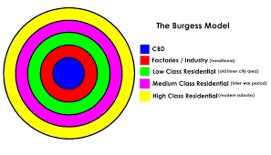 <p>Definition: Cities grow outward from a Central Business District (CBD) in 5 rings.</p><p>/</p><p>1. CBD</p><p>/</p><p>2. Transition Zone (Factory/Slums)</p><p>/</p><p>3. Low-Class Residential</p><p>/</p><p>4. Middle-Class Residential</p><p>/</p><p>5. Commuter Zone.</p>