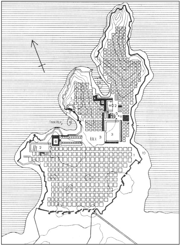 term image