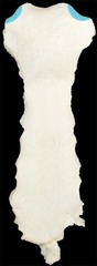 <p>Id landmark</p>