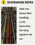 <p>suspension Ropes</p>