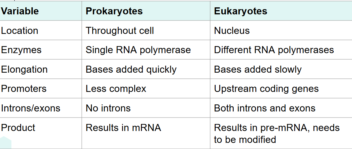 <p></p><p></p><p></p>