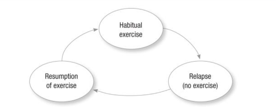 <p>visual representation of behavior </p>