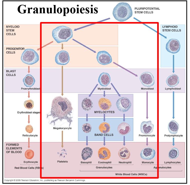 <p>DIAGRAM ON SLIDE 5</p>