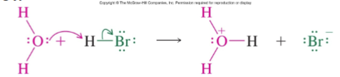 <p><strong>Yes.</strong></p><p>Although a proton (H⁺) is transferred from one atom to another, the <strong>electrons that form or break bonds move</strong> and are shown using curved arrows.</p><p></p>