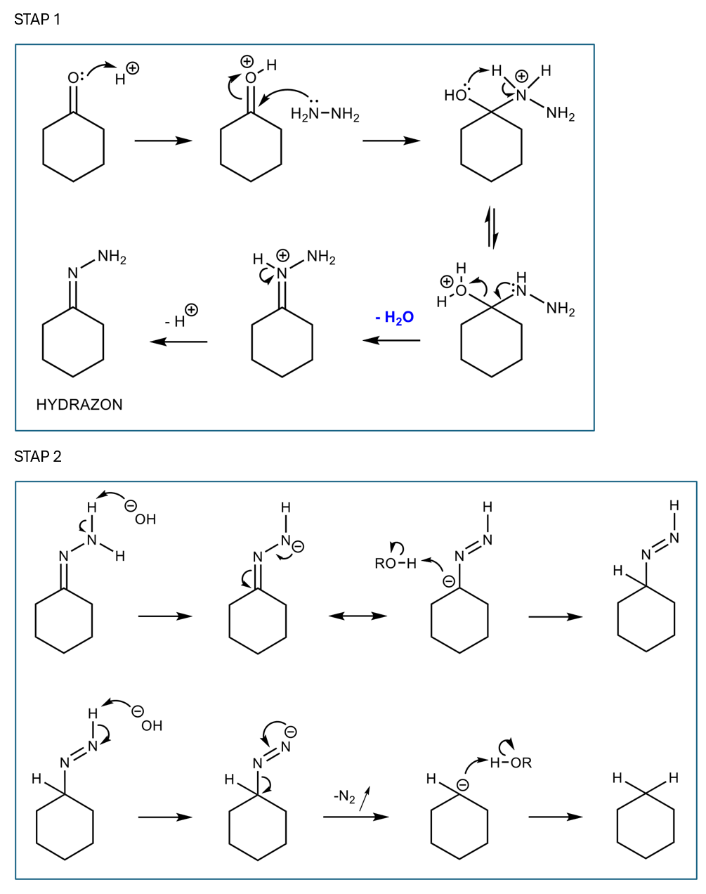 <p>p13.5</p><p><strong>Stap 1</strong>: nucleofiele additie, vorming hydrazon</p><ul><li><p>protoneren carbonyl, zo kan nucelofiel deeltje beter aanvallen</p></li><li><p>// gaat open</p></li><li><p>H<sub>2</sub>O<sup>+</sup> is goede LG (wordt als neutraal water uitgestoten)</p></li><li><p>door wat zuur toe te voegen wordt H<sup>+</sup> uitgestoten</p></li><li><p>vorming hydrazon</p></li><li><p></p></li></ul><p><strong>Stap 2</strong>: in nieuw medium, basisch milieu</p><ul><li><p>base toevoegen</p></li><li><p>mesomere pijl! ((-) verandert van plaats) </p></li><li><p>N is meer elektronegatief dan C → 2de structuur is stabieler; 3de structuur is minder stabiel en reactiever</p></li><li><p>N<sub>2</sub> uitstoten: kleine molecule uitduwen is entropisch interessant</p></li><li><p>laatste pijl is sws aflopen door groot pKa verschil</p></li></ul><p></p>