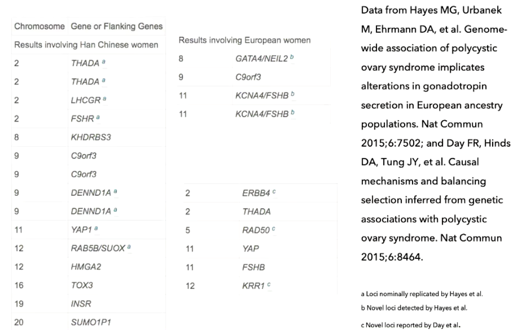 <ul><li><p>GWAS = identifies <strong>many suspected genes across multiple chromosomes</strong></p></li><li><p>PCOS genetics = <strong>complex + polygenic</strong> (not one single gene)</p></li><li><p><strong>Flanking genes</strong> = genes located near the gene of interest</p></li><li><p><strong>Ancestry matters</strong>:</p><ul><li><p>Different populations (e.g., Han Chinese vs European) → <strong>different gene associations</strong></p></li><li><p>Even on same chromosome → <strong>different implicated genes</strong></p></li></ul></li><li><p>Current limitation:</p><ul><li><p>Findings are <strong>not yet directly useful for treatment decisions</strong></p></li></ul></li><li><p>Clinical diagnosis:</p><ul><li><p>Based on <strong>patient signs/symptoms (phenotype)</strong></p></li><li><p>Not primarily based on genetic findings (yet)</p></li></ul></li></ul><p></p>