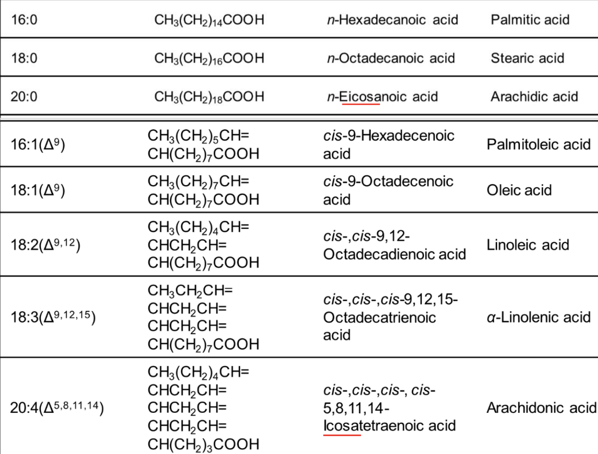 <p>What does Δ (delta) indicate in fatty acid notation?</p>