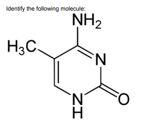 <p>Identify the following molecule:</p>