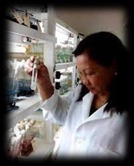 <p>Her research on sea snail venom.</p>