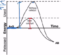 <p>[Chemical Kinetics and Thermodynamics]</p><p>This is a substance that speeds up the rate of an ongoing reaction by reducing the activation energy</p>