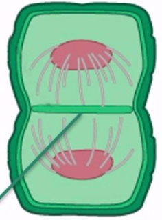<p>What is labeled in the diagram</p>