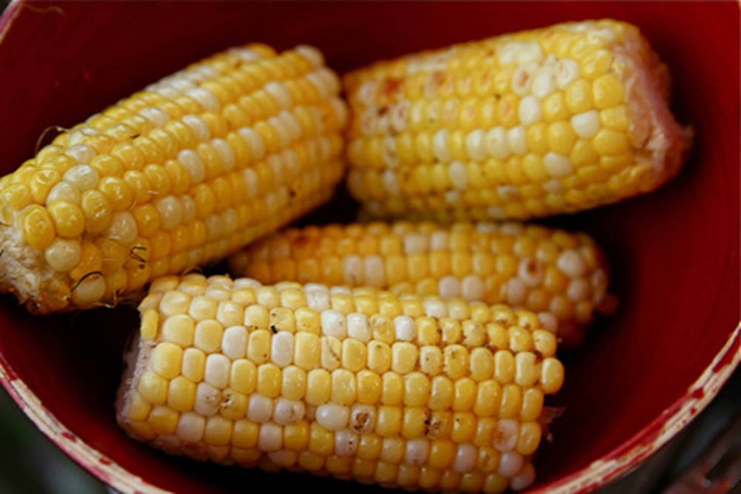 <p>Maíz</p>