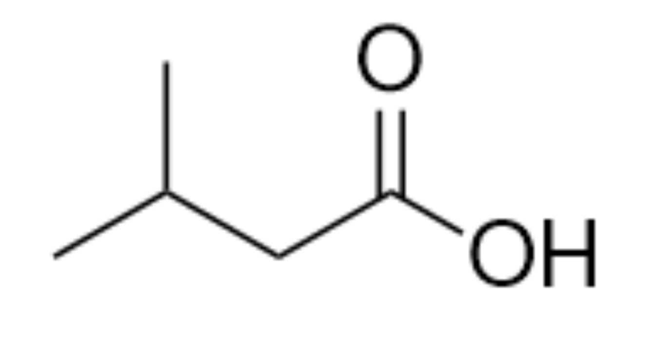 <p>What is the name of the organic functional group present in this molecule?</p>